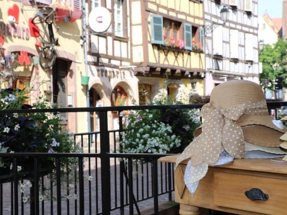 Appartement Spacieux A Colmar Avec Terrasse, Garage Privatif, Proche Centre Et Gare - Fr-1-722-2 Ngoại thất bức ảnh